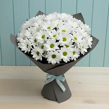 Букет цветов из:  Хризантемы в Артемовском Свердловской области