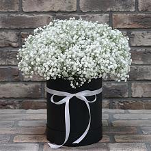 Цветочная композиция из Гипсофила в шляпной коробке в Артемовском Свердловской области